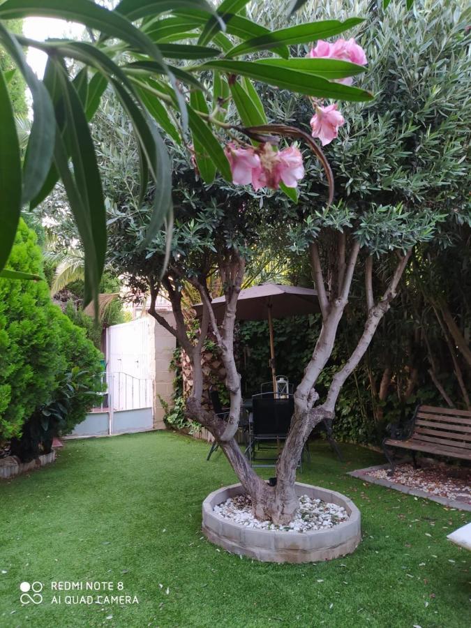 Apartamento Bodega íntima Zaragoza Exterior foto